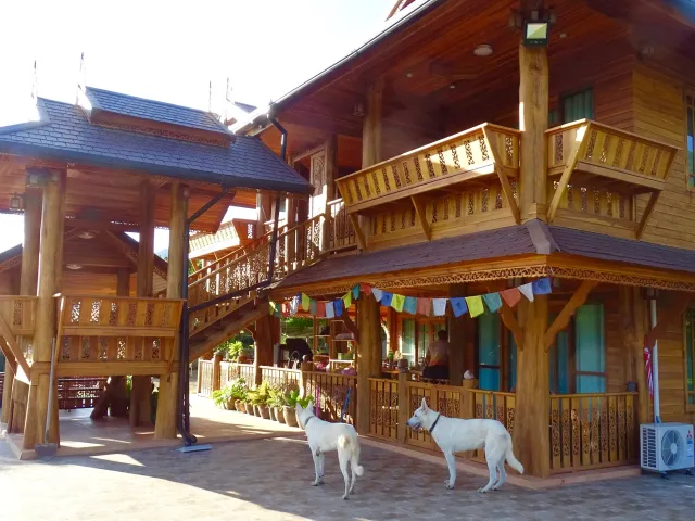 place photo 44