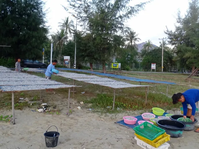 place photo 69
