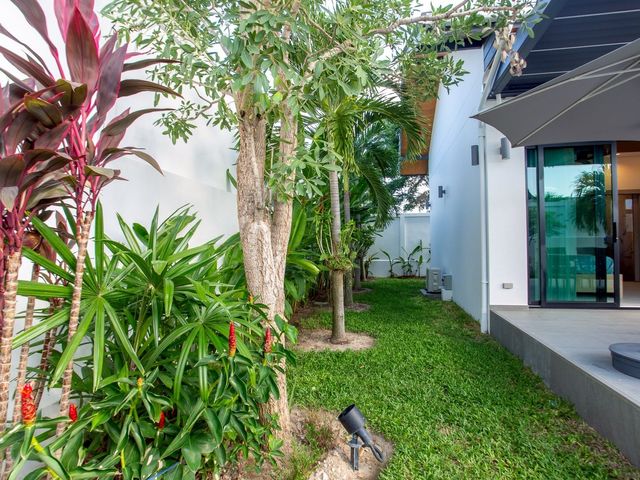 place photo 44