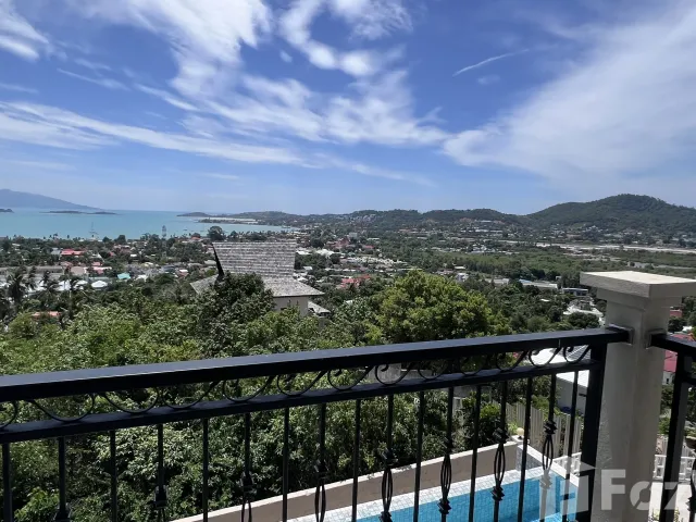 place photo 62