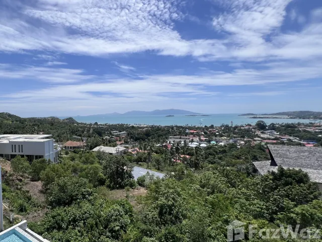 place photo 67