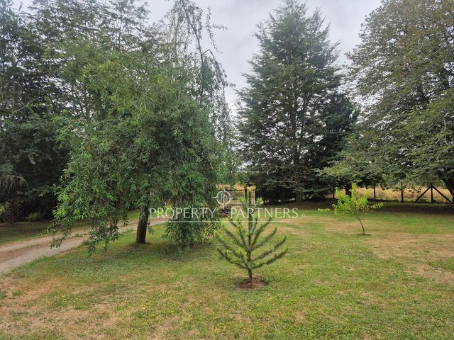 place photo 40