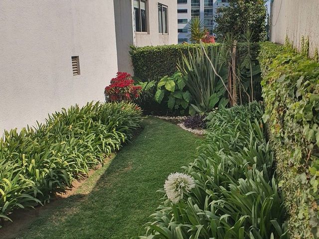 place photo 33
