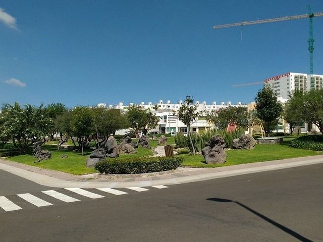 place photo 21
