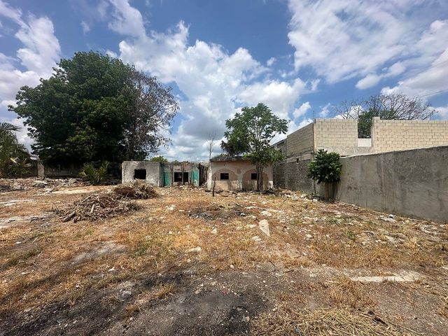 place photo 10