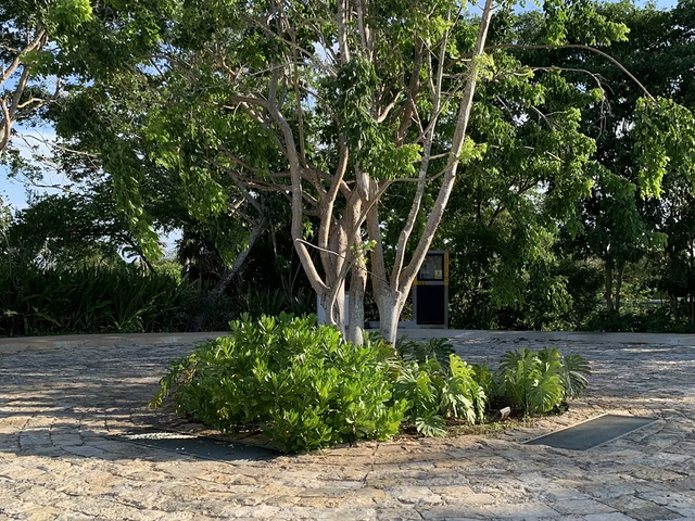 place photo 35