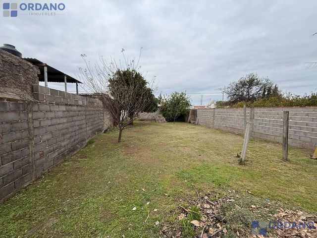 place photo 37