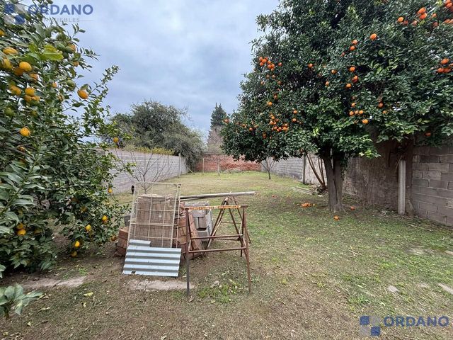 place photo 45