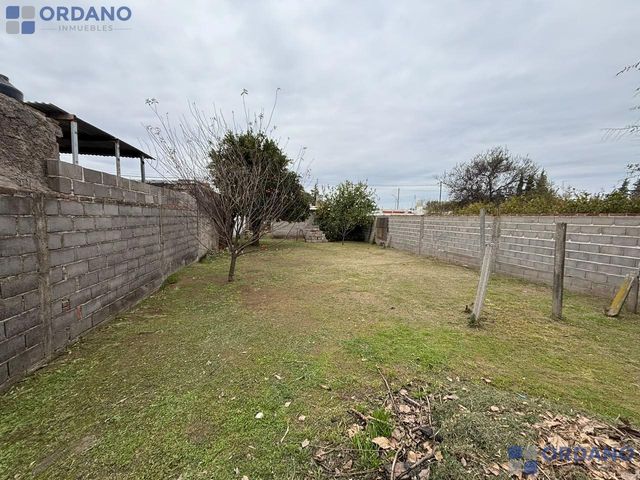 place photo 38