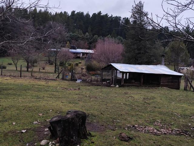 place photo 45