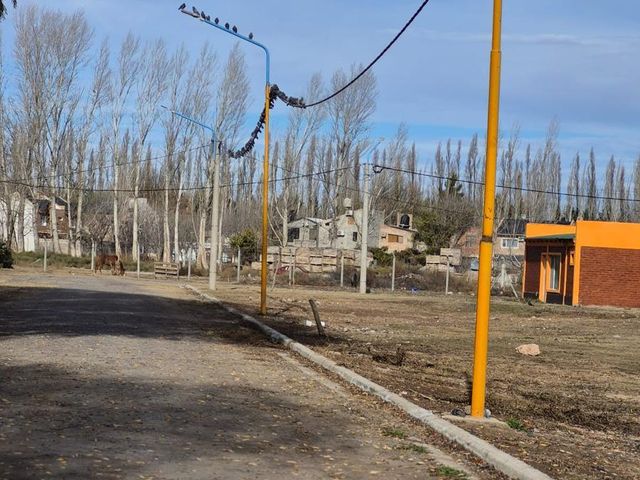 place photo 19