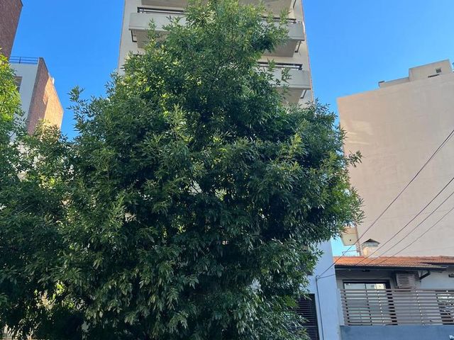 place photo 32