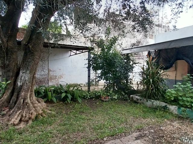 place photo 18