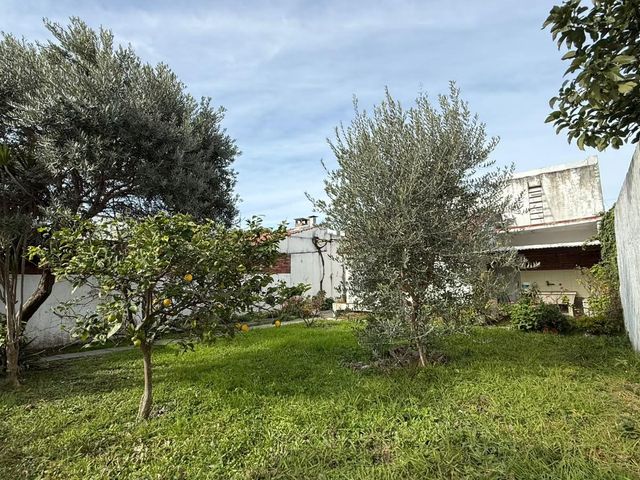 place photo 42
