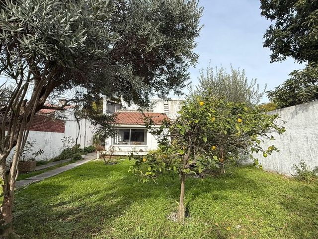 place photo 47