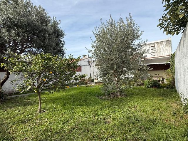 place photo 45