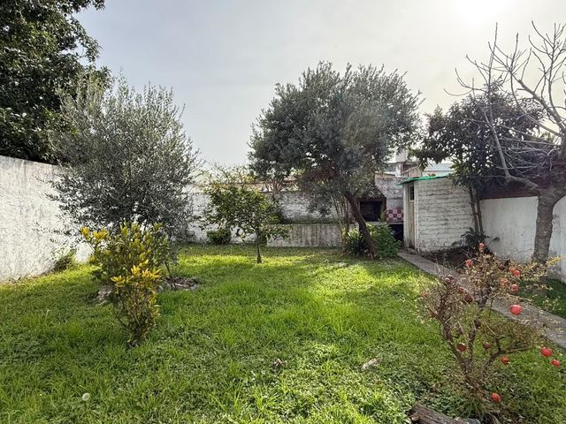 place photo 48