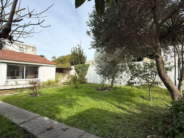 place photo 46