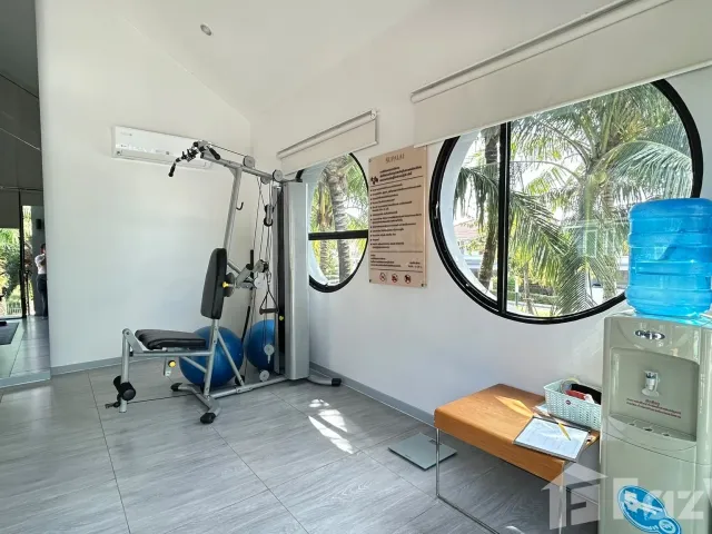 place photo 27