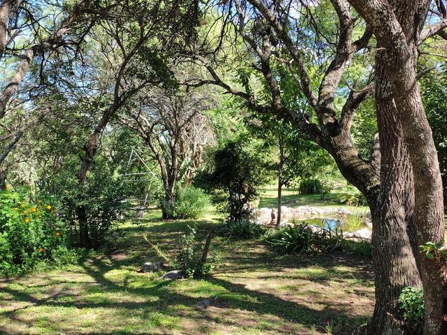 place photo 84