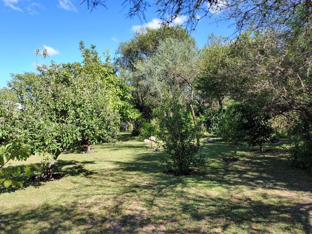 place photo 88