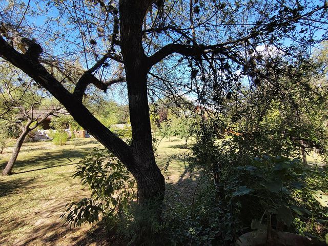 place photo 80