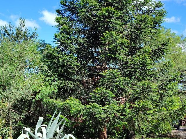 place photo 86