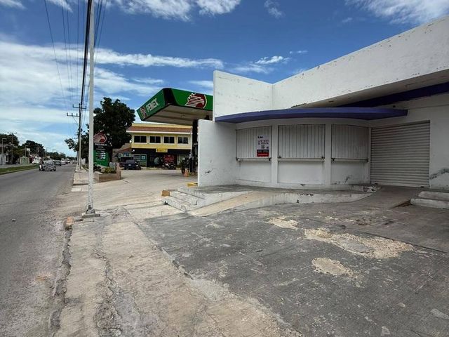 place photo 11