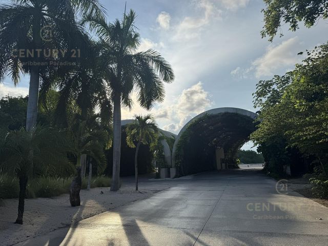 place photo 26