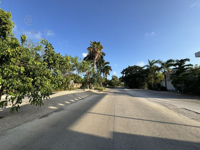 place photo 25