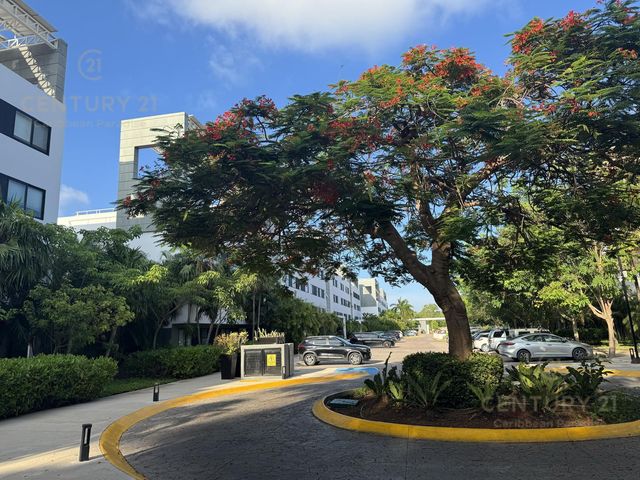 place photo 22