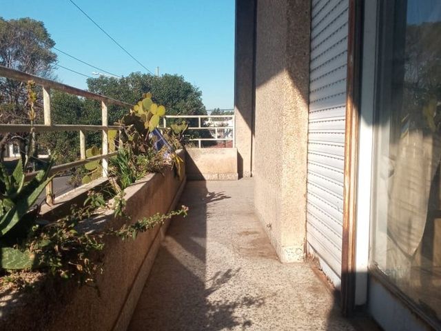 place photo 54