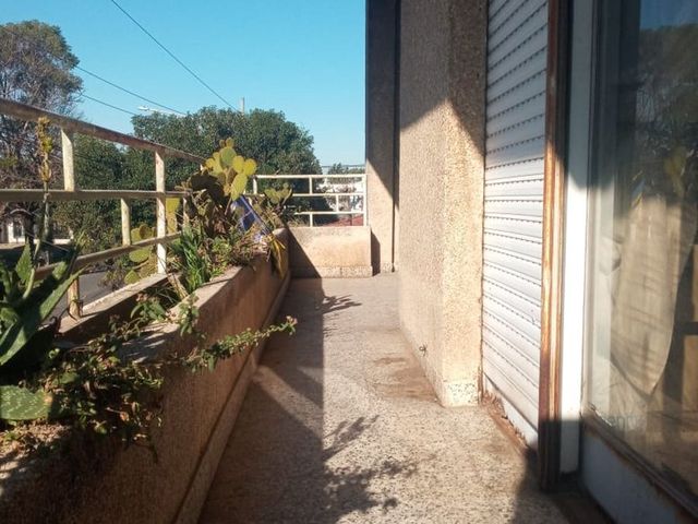 place photo 53