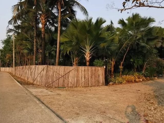 place photo 38