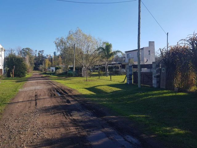 place photo 29