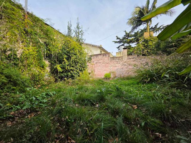 place photo 40