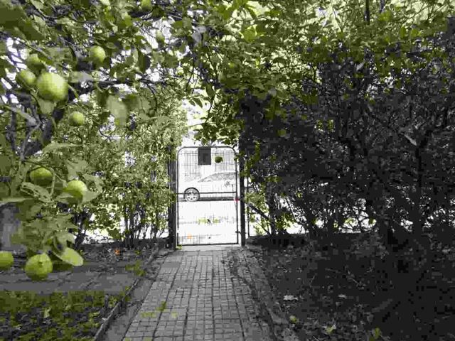 place photo 10