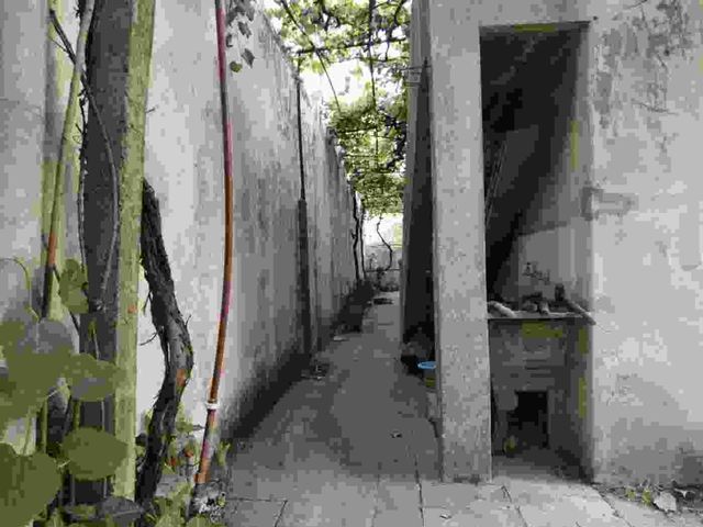place photo 34