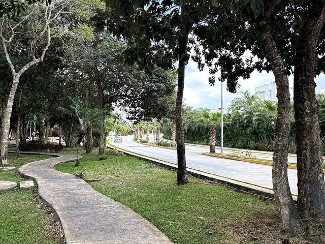 place photo 18