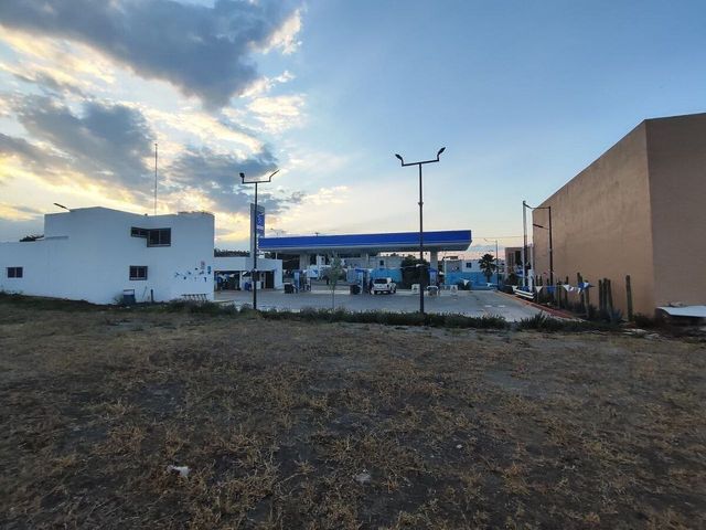 place photo 15