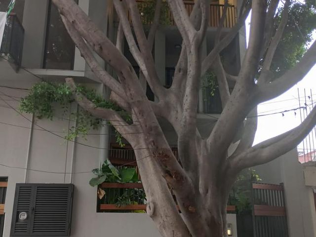 place photo 29