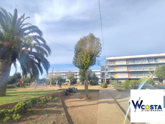 place photo 42