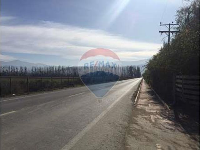 place photo 35