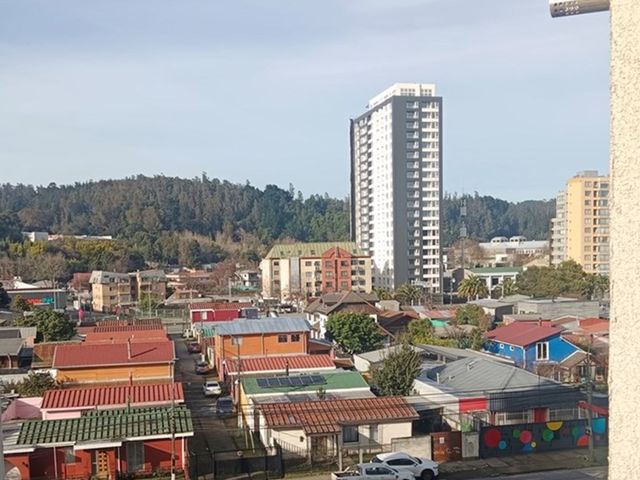 place photo 24