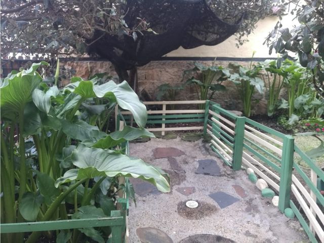 place photo 29