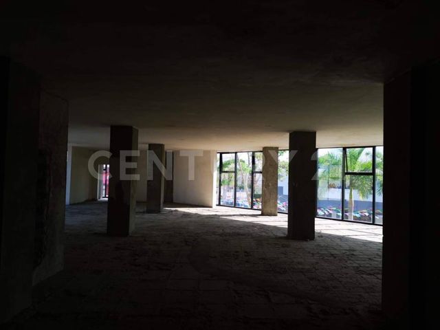 place photo 14