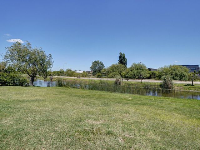 place photo 60