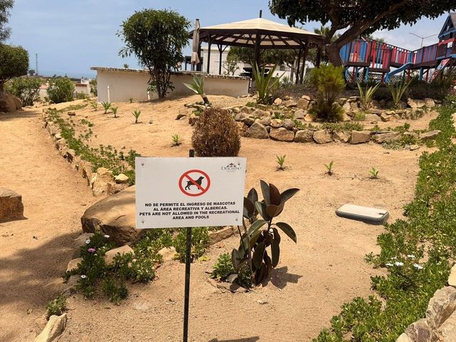 place photo 39