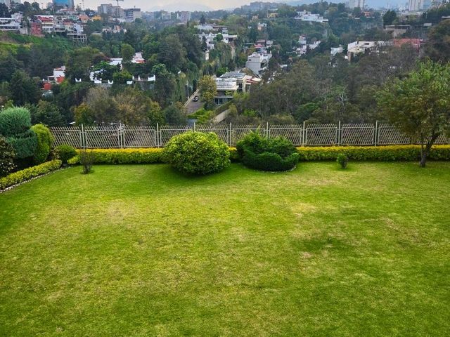 place photo 26