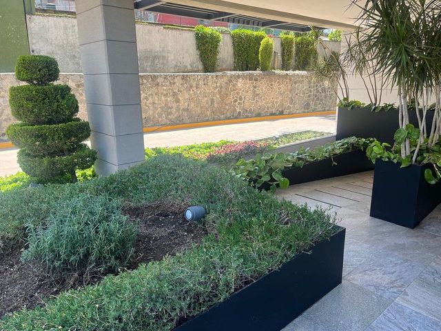 place photo 43